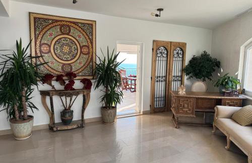 Apartments Domani - Foto 48