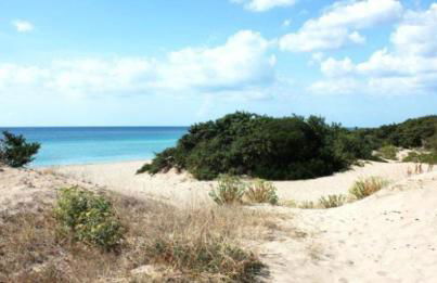 Salento Beach - Foto 9