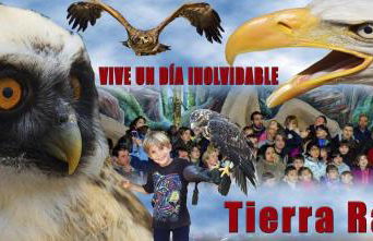 Jardines de Viana - Foto 40