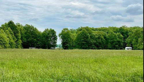 Charming Cabin Surrounded by Woods and Fields in Oberlin, Ohio - Foto 5