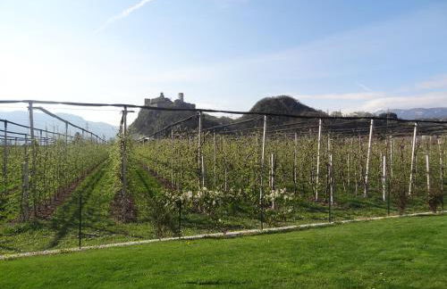 Apartments Klotz - Foto 16