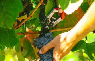 Casa d'Arcã - Foto 58