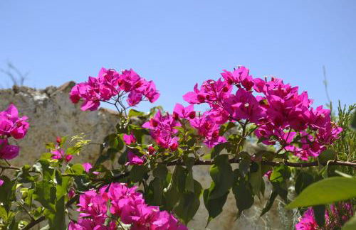 Casa Rural Tita Sacramento - Foto 46