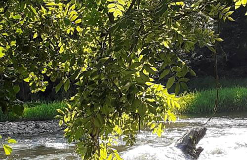 Stadt Land Fluss Plus - Foto 22