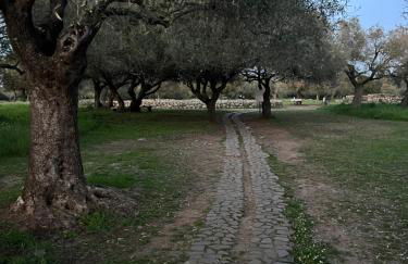 Muristene Pozzo Santa Cristina - Foto 19