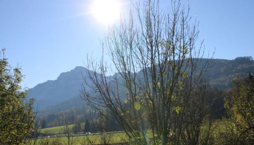 Ferienwohnung Pickl - Anna-Maria Pickl - Foto 5