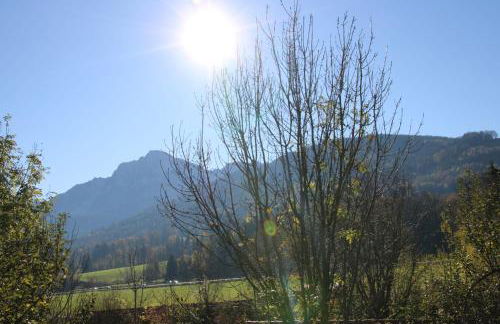 Ferienwohnung Pickl - Anna-Maria Pickl - Foto 5