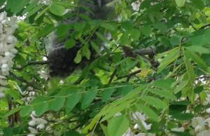 La Casetta di Barbara - Foto 36