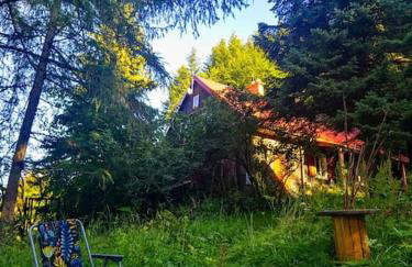 Grapa - Magiczna Leśna Chata - Foto 1