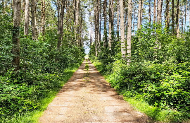 Silz am Fleesensee - Foto 20