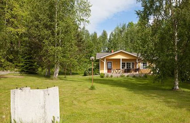 Keltavuokko - Foto 18