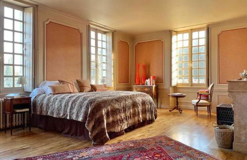 Restored Castle In The Heart Of Loire Valley - Foto 5