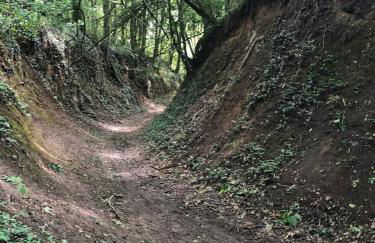 Chalet authentique à Clermont-Créans avec piscine partagée - Photo 65