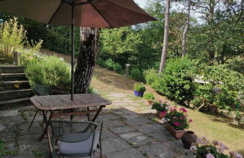 Porcaticcio - Foto 7