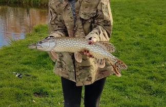 Dom w Sąpach - Foto 28