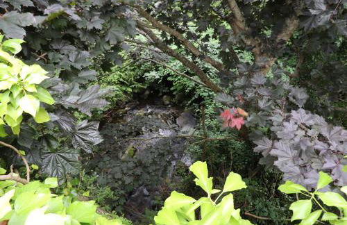 Capel Cottage - Foto 29