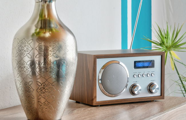 Ferienhaus Born - Foto 12