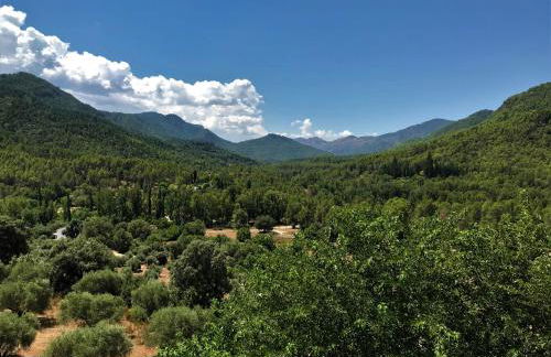 Alojamientos Loma de Mariangela - Foto 42