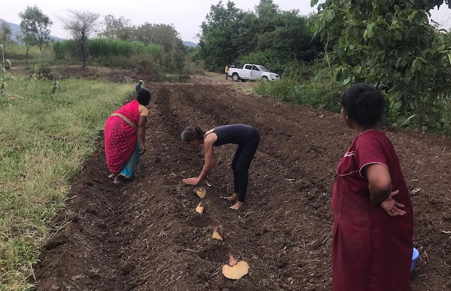 ingawale farmhouse - Photo 22