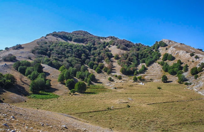 Agriturismo Terrerosse di Massadita - Foto 55