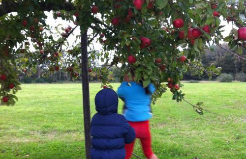 Gîtes de La Ferme De Kereven - Foto 39