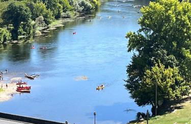 Vue magique à Castelnaud - Foto 24