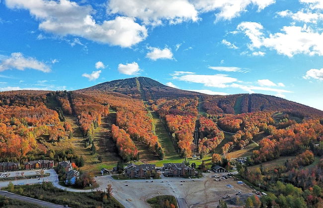 The Pico Escape: 3br/2ba Ski On/ski Off At Pico Mountain. Close To Killington. 3 Bedroom Condo - Foto 22