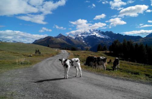 Agriturismo Raethia - Foto 64