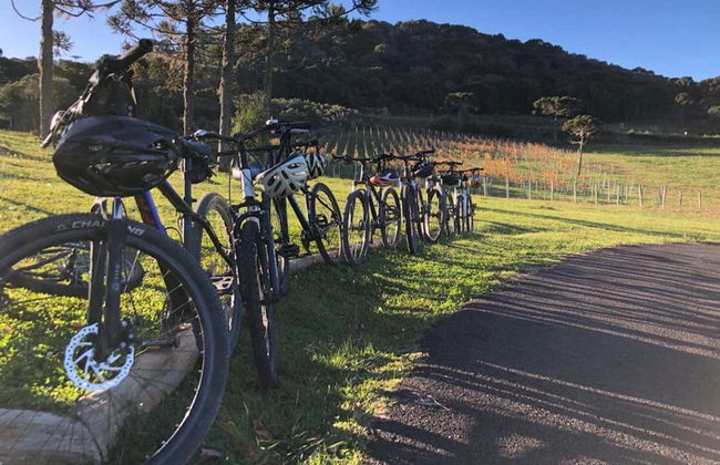 Tour de bicicleta pelos vinhedos da vinícola Villaggio Bassetti com degustação - Foto 2