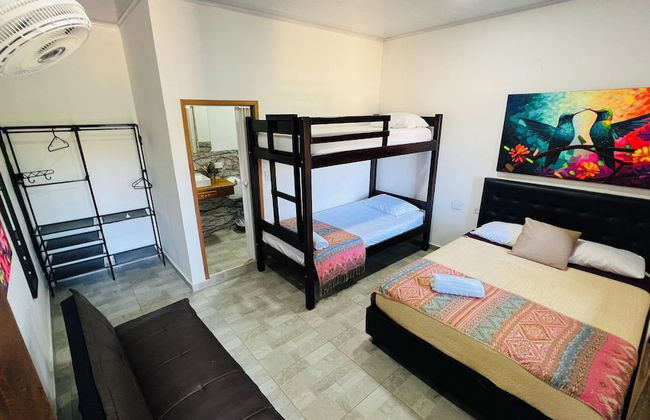 Coffee House Minca - Photo 9