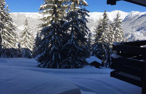 Superbe vue, accès skis aux pieds, très agréable - Foto 22