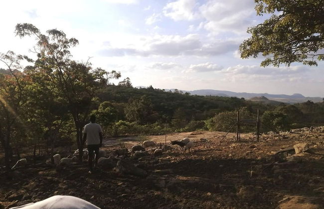 Remarkable 3-bed Cottage in Nyanga - Foto 11