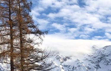 Chalet Sweet Mountain - Photo 29