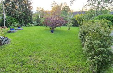 MOIN, MOIN & AHOI! - Foto 6