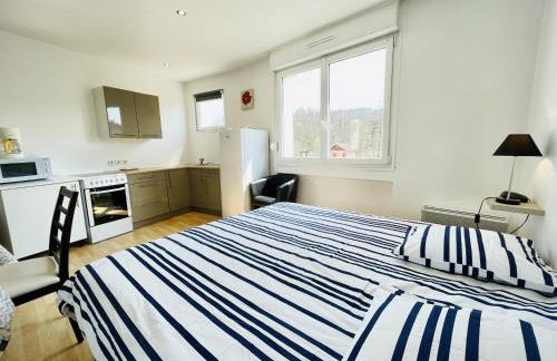 Residence Louis Place du Marche - Foto 31