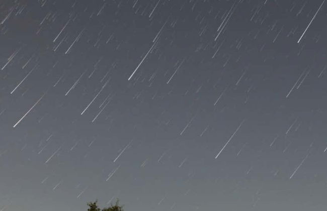 Osservazione astronomica nei campi di lavanda - Foto 1