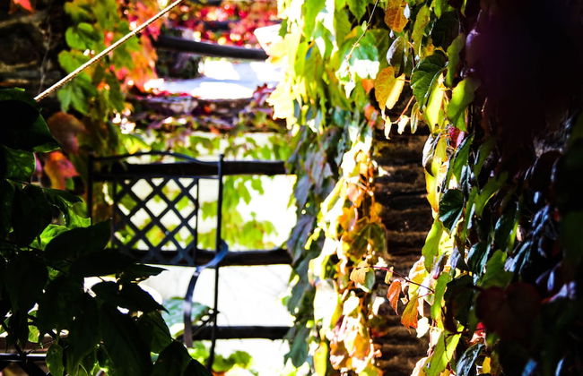 Casa Rural Catifalarga Capileira - Foto 36