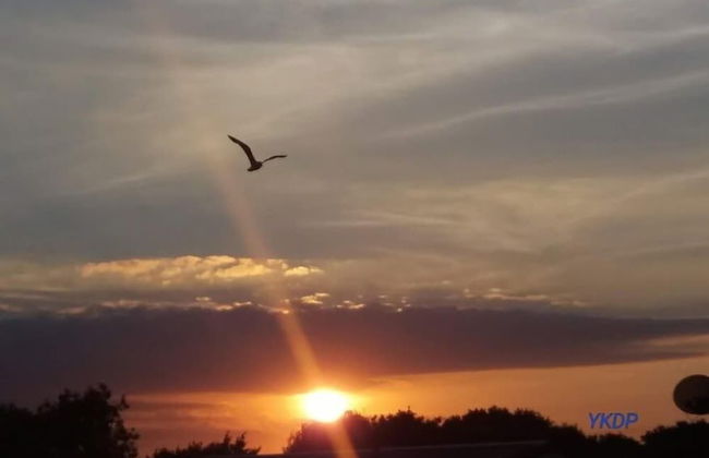 2013 Willerby Sunset Static Caravan Holiday Home - Foto 22