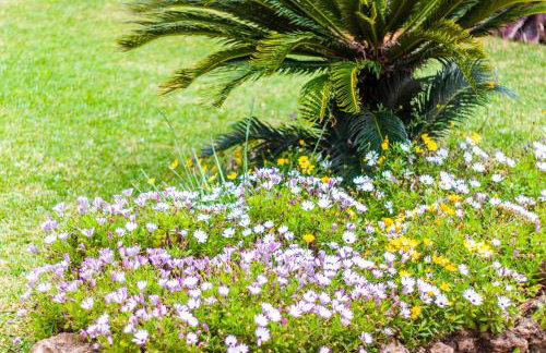 Edificio Menorca - Photo 25