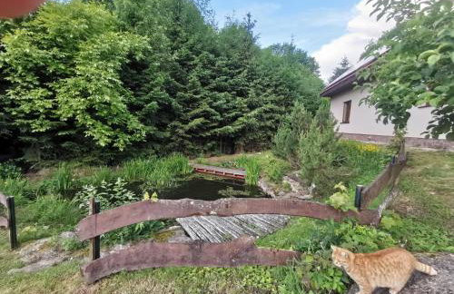 Jaworowy Stok z widokiem na góry i ogrodem - Foto 67