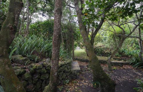 Quinta de São Caetano - São Miguel Açores - Photo 74