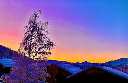 APPARTEMENT COSY AUX SAISIES n1 - Foto 31