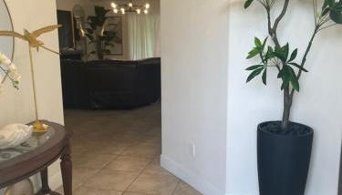 Paradise Island - Foto 2