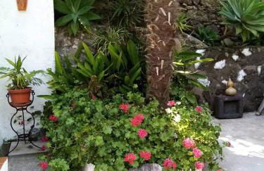 Ribeira da Praia House - Photo 16