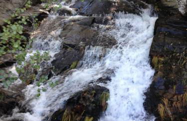 El Cerrillo - Foto 38