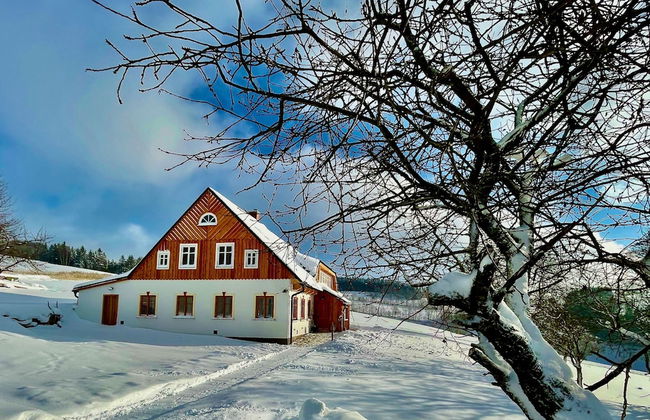 V Chov nad Jizerou Lvv033 - Photo 61