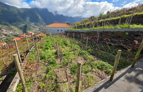 Villa Margarida São Vicente Madeira - Foto 65