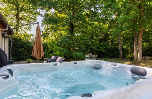 La Salamandre - maison avec jacuzzi - Photo 2