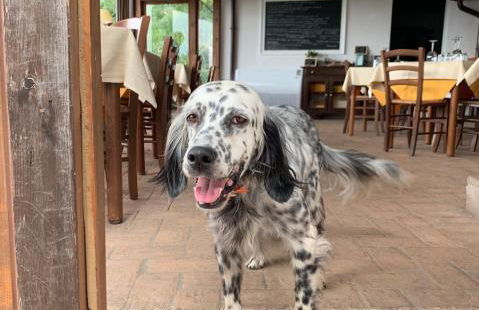 SetterHouseAgriHotel - Photo 1