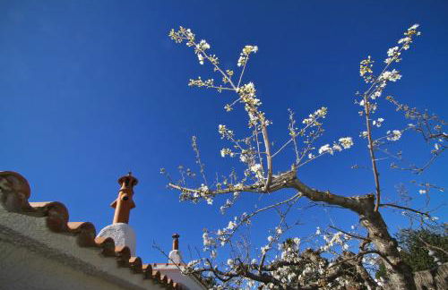 Villa Santorini - Photo 3